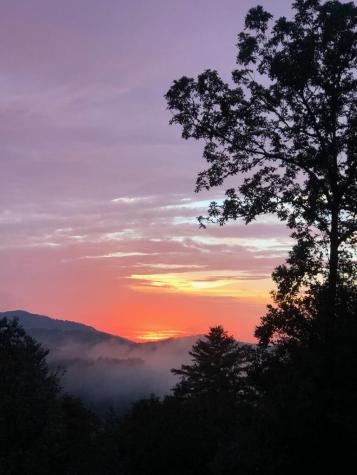 16 Mid Mountain Road Mineral Bluff GA 30559