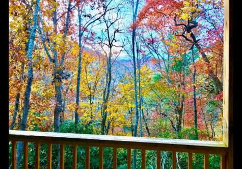 77 Denali Drive Clayton GA 30525