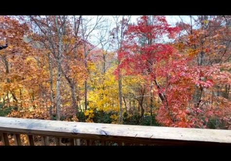 77 Denali Drive Clayton GA 30525