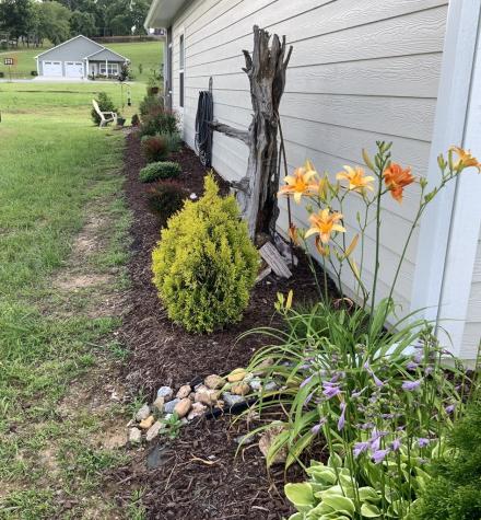 170 Riverwalk Circle Hayesville NC 28904