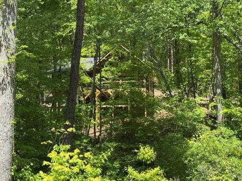 Lot 639 Moreland Drive Blue Ridge GA 30513