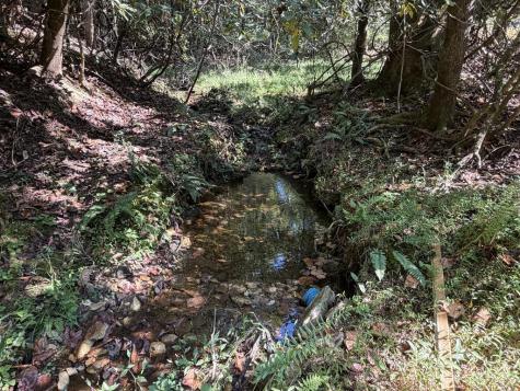 Tract# 2 Ponderosa Drive Epworth GA 30541