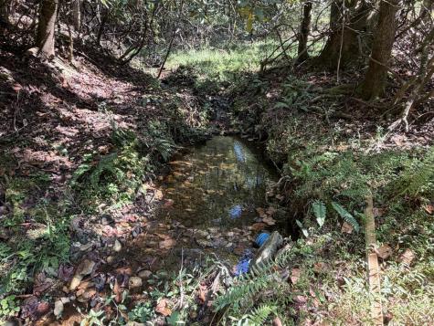 Tract# 2 Ponderosa Drive Epworth GA 30541
