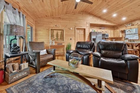 9 Casey Court Blue Ridge GA 30513