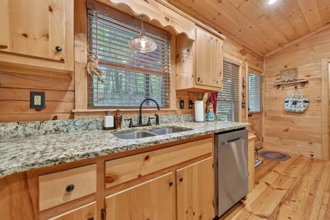 9 Casey Court Blue Ridge GA 30513