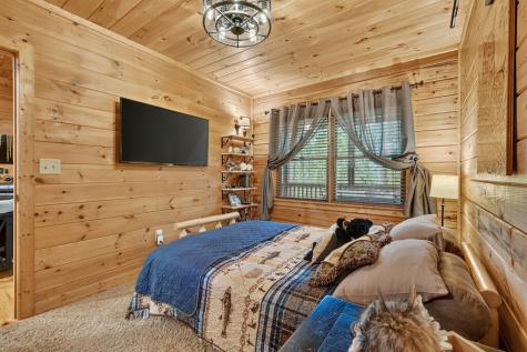 9 Casey Court Blue Ridge GA 30513