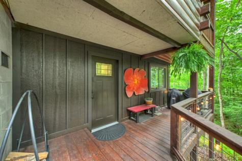 9 Casey Court Blue Ridge GA 30513