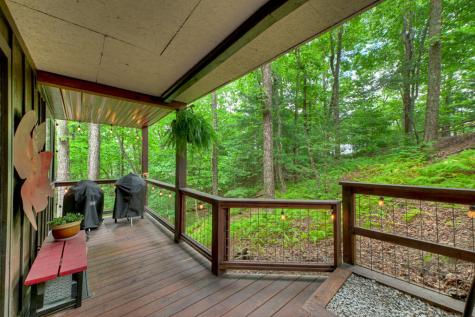 9 Casey Court Blue Ridge GA 30513
