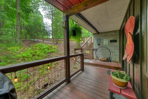 9 Casey Court Blue Ridge GA 30513