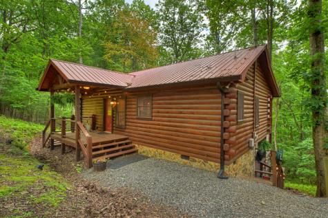 9 Casey Court Blue Ridge GA 30513