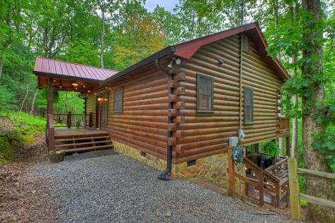 9 Casey Court Blue Ridge GA 30513