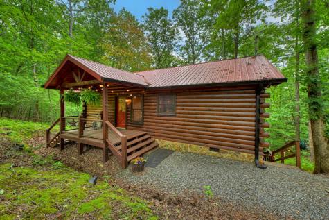 9 Casey Court Blue Ridge GA 30513