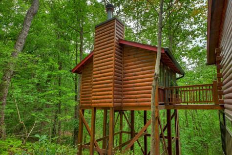 9 Casey Court Blue Ridge GA 30513