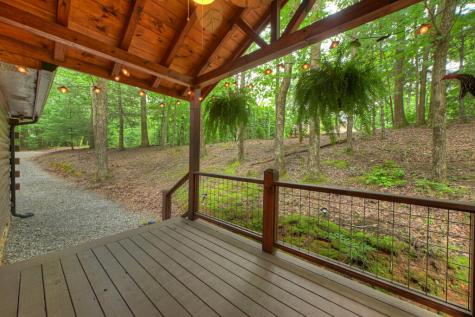 9 Casey Court Blue Ridge GA 30513