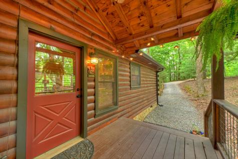 9 Casey Court Blue Ridge GA 30513
