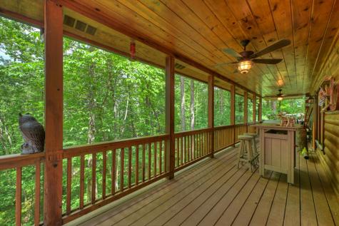 9 Casey Court Blue Ridge GA 30513