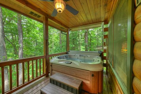 9 Casey Court Blue Ridge GA 30513
