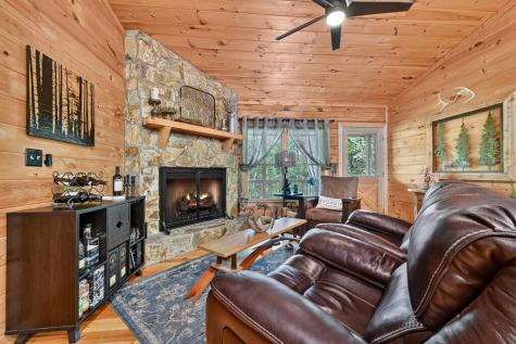 9 Casey Court Blue Ridge GA 30513