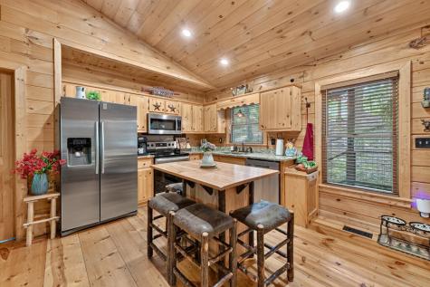 9 Casey Court Blue Ridge GA 30513