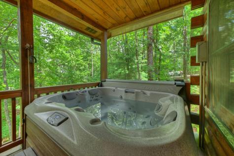 9 Casey Court Blue Ridge GA 30513
