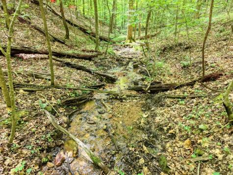 343 Haines Mountain Road Blairsville GA 30512