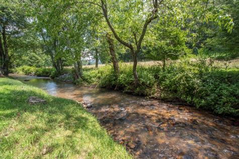 41 Pine Trail Warne NC 28909