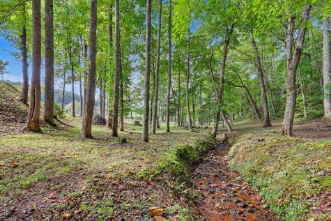 620 Hamilton Drive Hiawassee GA 30546