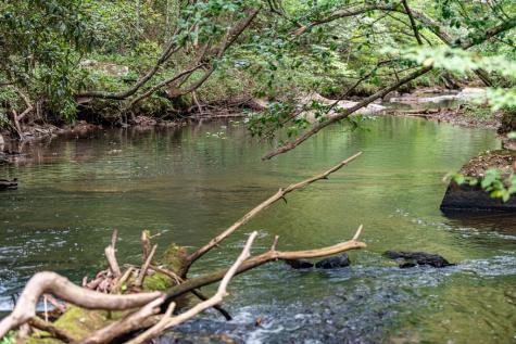 60 East Conasauga Creek Ellijay GA 30540
