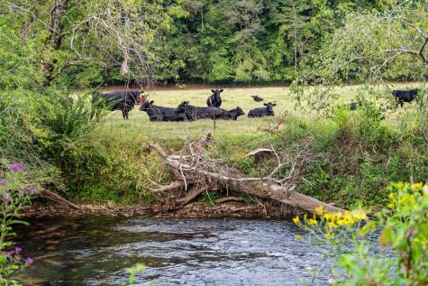 60 East Conasauga Creek Ellijay GA 30540