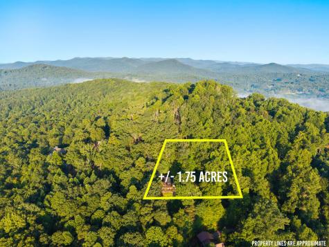144 Point Of View Road Blue Ridge GA 30513