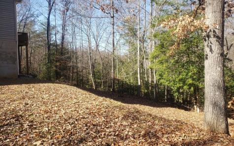 85 Mccracken Cove Road Hayesville NC 28904
