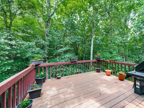 314 Spring Creek Blairsville GA 30512