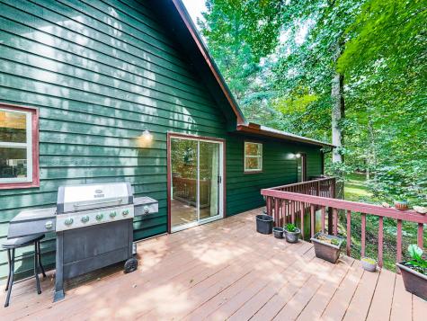 314 Spring Creek Blairsville GA 30512