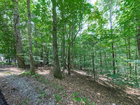 314 Spring Creek Blairsville GA 30512