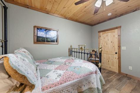 267 Oasis Drive Blue Ridge GA 30513
