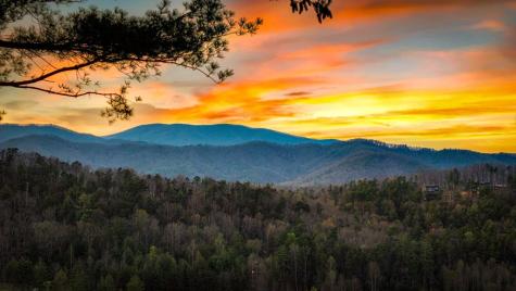 267 Oasis Drive Blue Ridge GA 30513