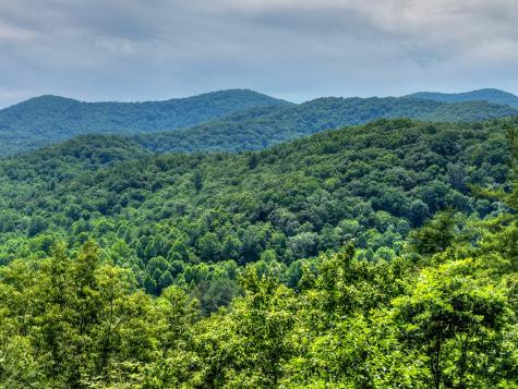 277 Hickory Nut Trail Blue Ridge GA 30513