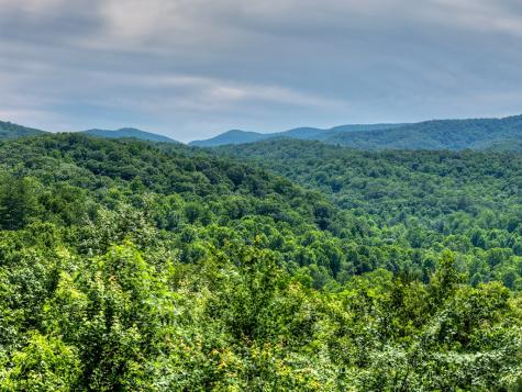277 Hickory Nut Trail Blue Ridge GA 30513