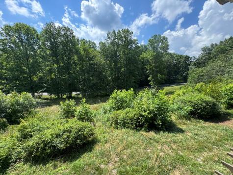 1748 Wesley Chapel Road Dahlonega GA 30533