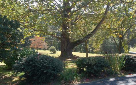 2270 Madola Road Epworth GA 30541