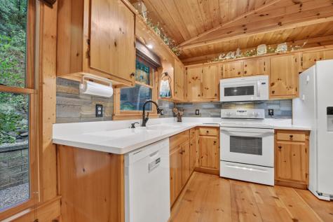 234 Holly Hollow Road Cherry Log GA 30522