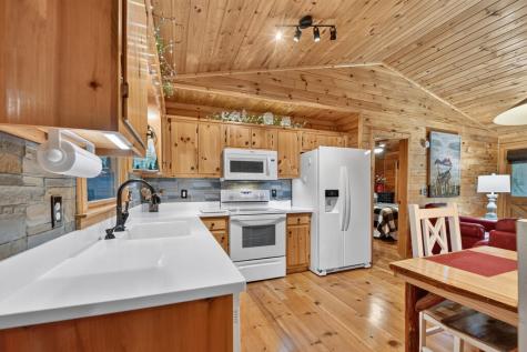 234 Holly Hollow Road Cherry Log GA 30522