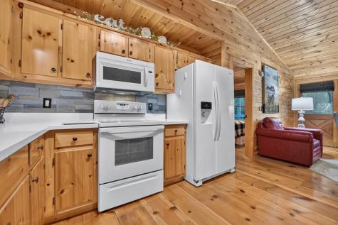 234 Holly Hollow Road Cherry Log GA 30522