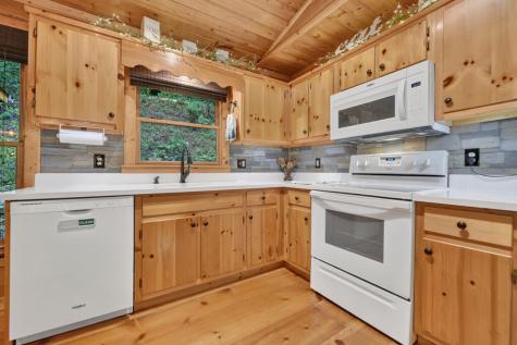 234 Holly Hollow Road Cherry Log GA 30522