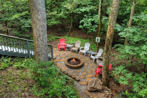 234 Holly Hollow Road Cherry Log GA 30522