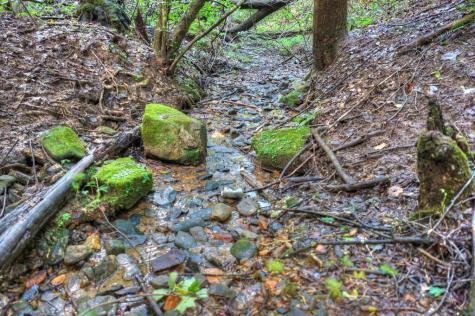 234 Holly Hollow Road Cherry Log GA 30522