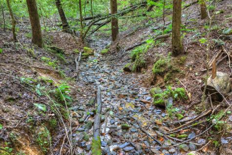 234 Holly Hollow Road Cherry Log GA 30522