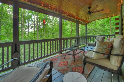 234 Holly Hollow Road Cherry Log GA 30522