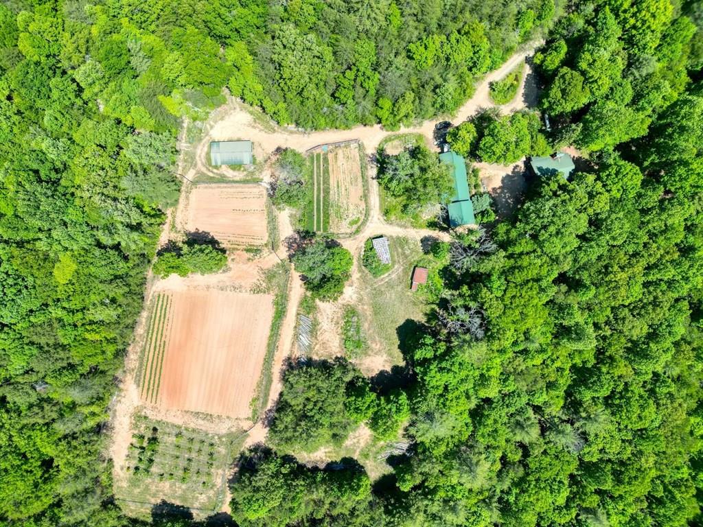 357 Nottely Woods Road E Blairsville GA 30512