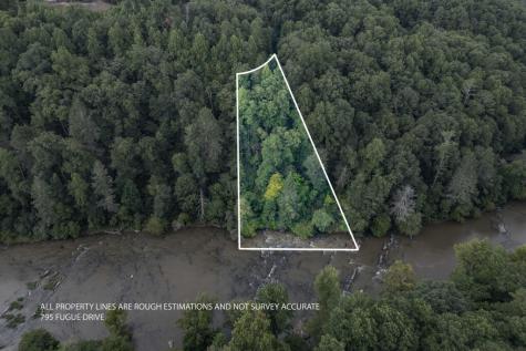 795 Fugue Drive Ellijay GA 30540